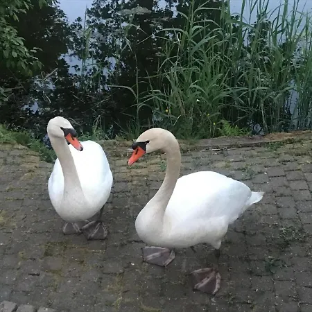 Cozy Family Tilburg